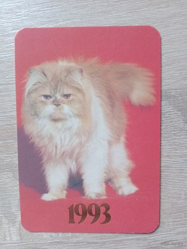 Календарик 1993