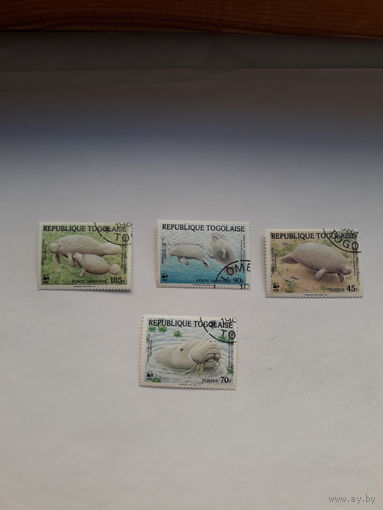 Того фауна WWF