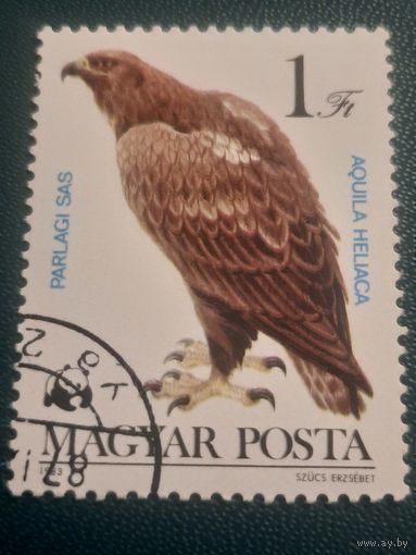 Венгрия 1983. Фауна. Хищные птицы. Aquila Heliaca. Марка из серии