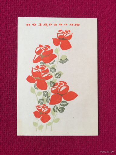 Поздравляю! Фистер 1968 г.