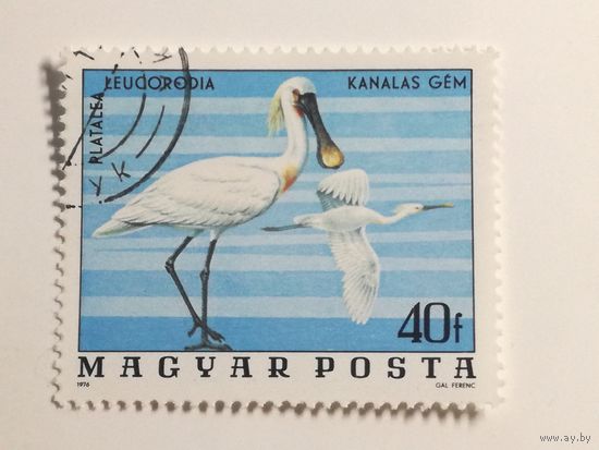 Венгрия 1977. Птицы из Национального парка Хортобаги