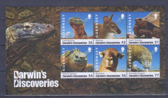[1533] Гернси,Великобритания 2009. Фауна мира. БЛОК MNH. Кат.8 е.