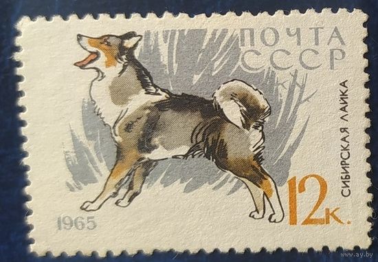 СССР 1965 собаки 1 из 8, без клея.