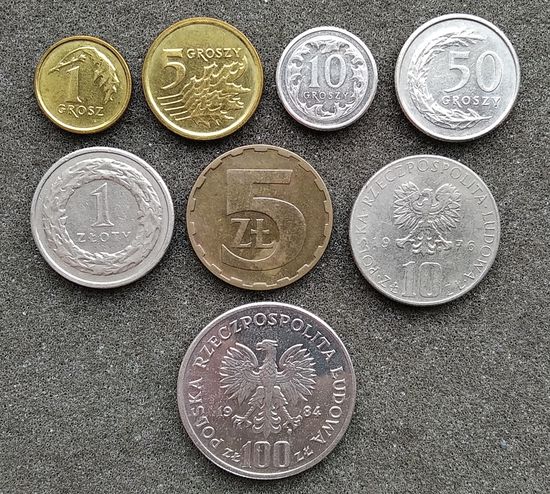 8 монет Польши