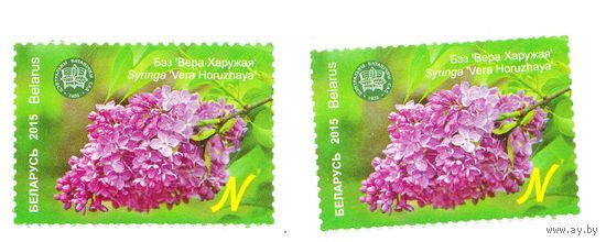 Марка Сирень 'Вера Хоружая'