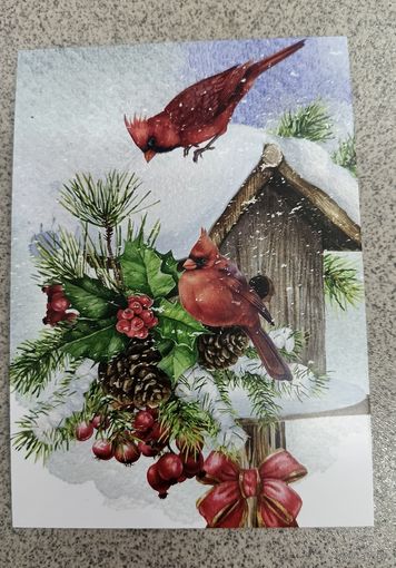 Открытка птицы, кормушка, остролист, шишки, новый год. Чистая
