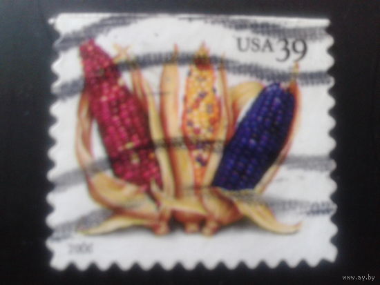 США 2006 стандарт, маис