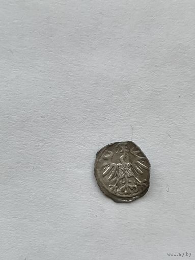 Денарий 1555 wilno