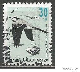 Израиль. Птицы. Белая трясогузка. 1992г. Mi#1250.