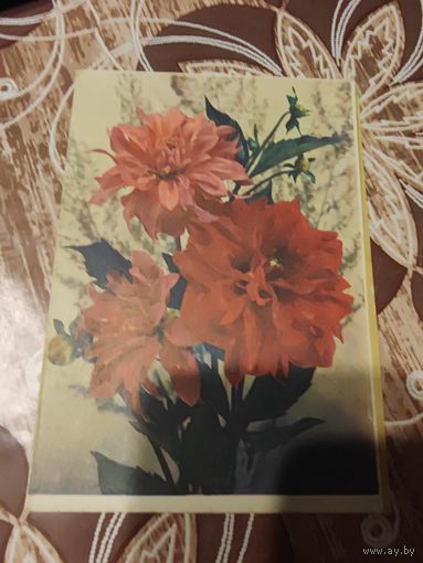 Открытка,телеграмма,подписана