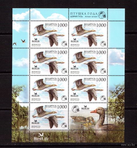 Беларусь-2009,(Мих.762) **  , Фауна, Птицы, Гуси, м/л