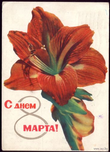 1966 год А. и М. Ананьин С днём 8 марта!