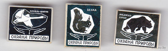 Охрана природы: лебедь шипун, белка, бурый медведь.
