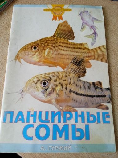 Панцирные сомы