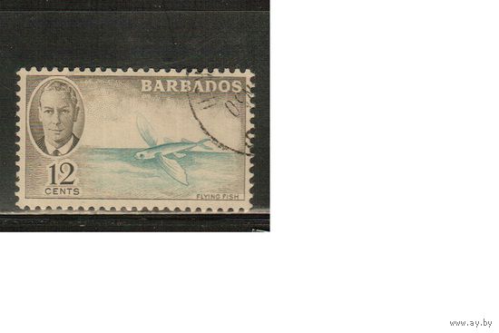 Барбадос-1950(Мих.190) , гаш.  , Морская  Фауна, Рыбы
