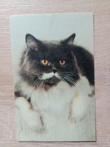 Календарик 1990