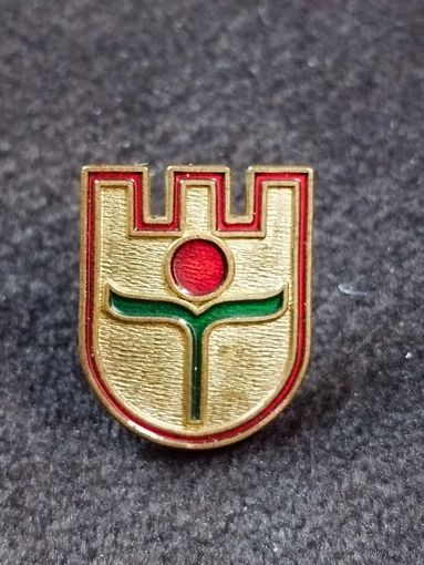 Брестский государственный университет им. А. С. Пушкина