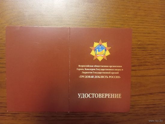 Удостоверение к медали "За содействие СВО"