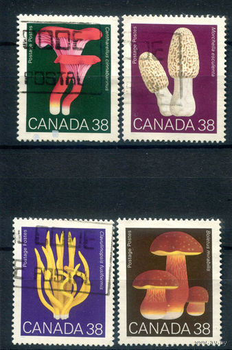 Канада - 1989г. - грибы - 4 марки - полная серия, гашёные [Mi 1142-1145]. #3-WB-96-B-1