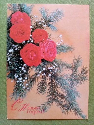 Агладзе Мартьяхин 1990 С Новым годом! чистая