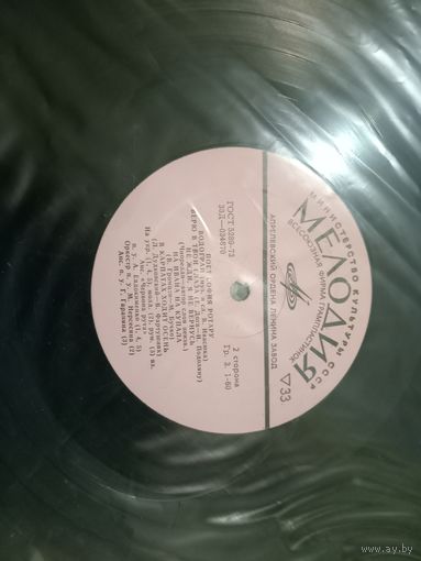 Виниловая пластинка