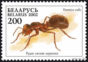 Марки "Рыжий лесной муравей", Блок "N 28 Муравьи"