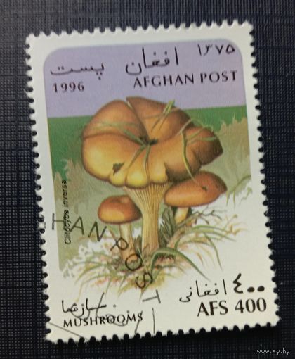 Марка Афганистан 1996 Грибы