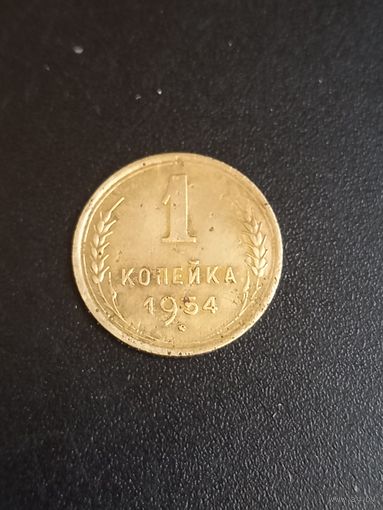 1 копейка 1954 год (15)