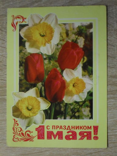 ПОДПИСАННАЯ ОТКРЫТКА СССР.  "С ПРАЗДНИКОМ 1 МАЯ." худ. В. ГОРДЕЕВ. 1977 год.
