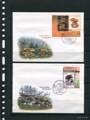 Беларусь 2008. КПД. Грибы