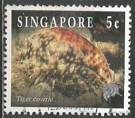 Сингапур. Молюск Тигровая ципрея. 1994г. Mi#710.