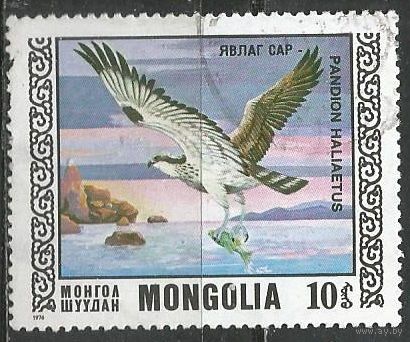 Монголия. Охраняемые птицы. Скопа. 1976г. Mi#1009.