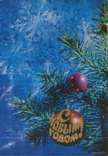Чистая открытка 1974г. "С Новым годом! Еловая ветка" фото Е. Савалова