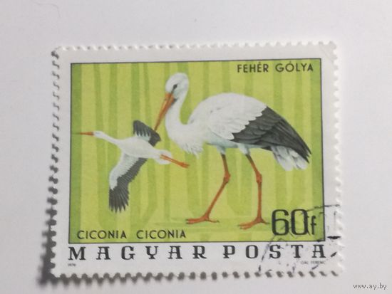 Венгрия 1977. Птицы из Национального парка Хортобаги