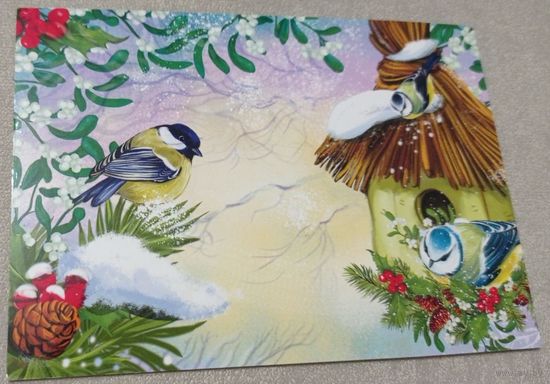 Посткроссинг. Открытка из Германии: синицы(10х15). Тираж: 500 экз. Прошла почту. Художественные марки, чёткий штемпель.