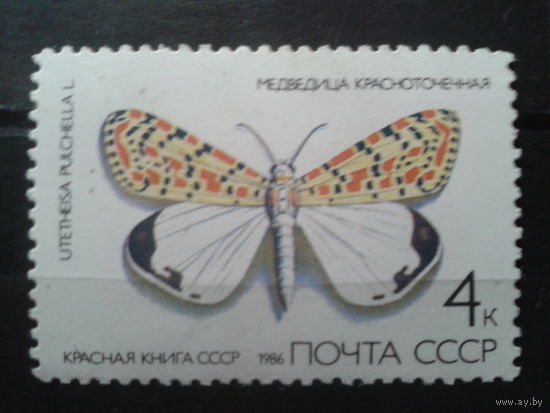 1986 Бабочка Медведица**