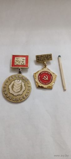 Лучший рационализатор МТСХМ, Лучший рационализатор  ВОИР Минская область.