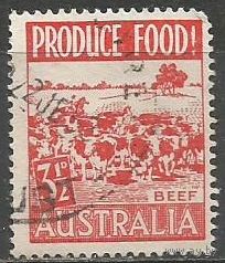Австралия. Продукты питания. Скот. 1953г. Mi#228.