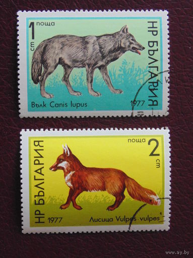 Болгария 1977 г. Фауна.