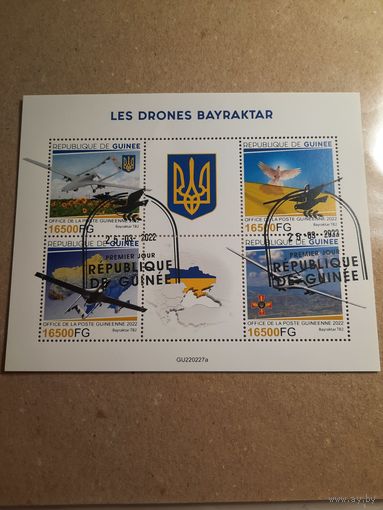 Гвинея 2022. БПЛА Байрактар