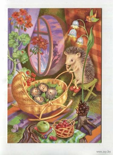 Открытка. Животные. Фауна. Ёжики. Ежи. Мама. Ежата. Коляска. Пеларгония. Цветы. Ландыши. Ягоды. . Худож. Т.Сытая (чистая)