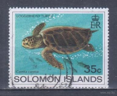 [577] Соломоны 1983. Фауна.Черепаха. Гашеная марка.