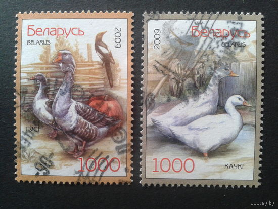 2009 Домашняя птица Полная серия