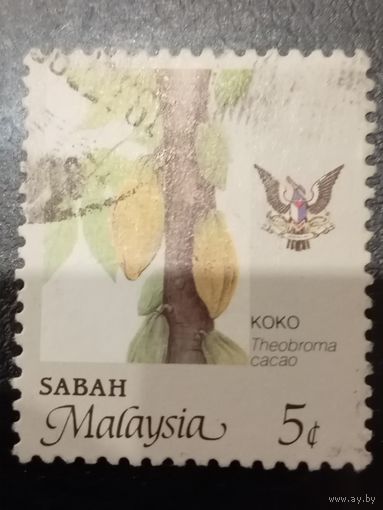 Малайзия. Флора. Какао