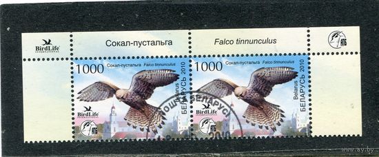 Беларусь 2010.. Птица года. Обыкновенная пустельга. Верхняя сцепка листа
