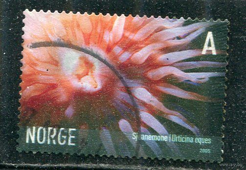 Норвегия. Морская фауна. Из вып.2