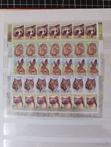 Беларусь. Звери. 2008. Одиннадцатый стандарт. Серия. Полоски с номером заказа (А)