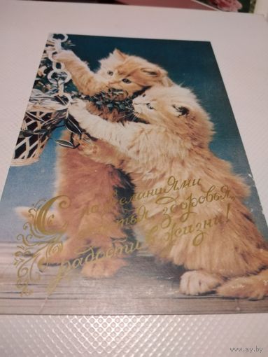 Открытка. Котята