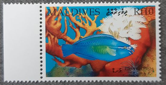 1999 - Рыба -попугай - Мальдивы