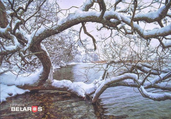 Планета Беларусь 2019 Витебская область озеро Дрисвяты